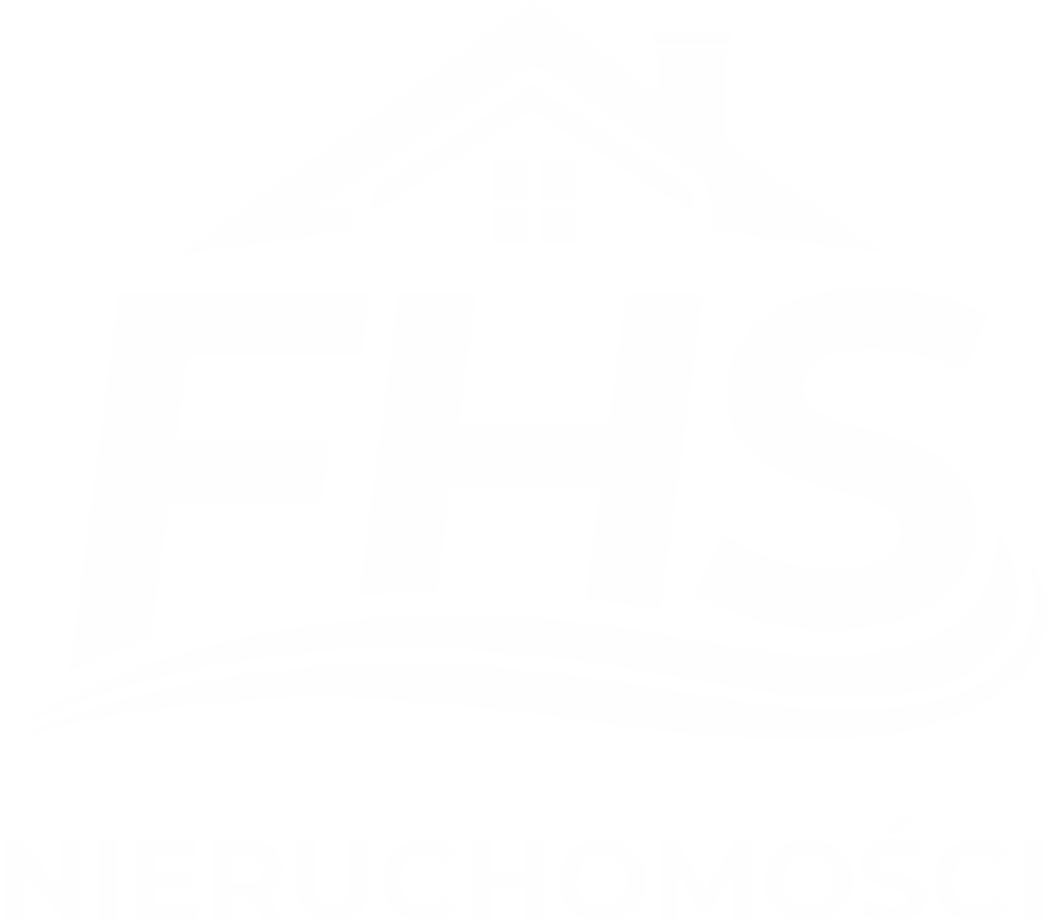 FHS Nieruchomości